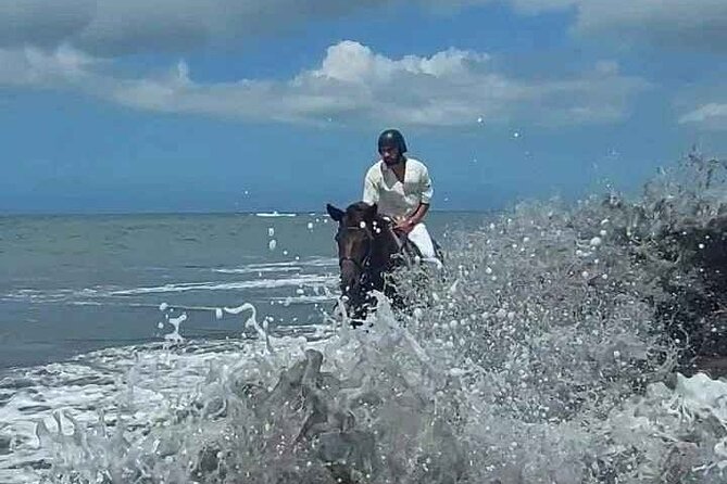 Private Bali Horse riding at saba beach - Price and value: $43.79 for a private hour on the beach