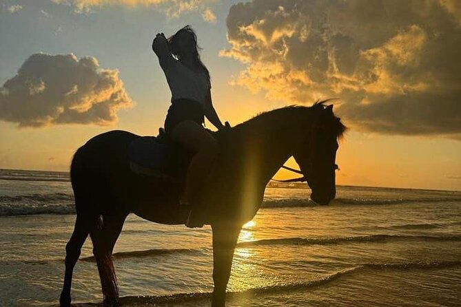 Private Bali Horse riding at saba beach - Who this Bali horse ride suits best