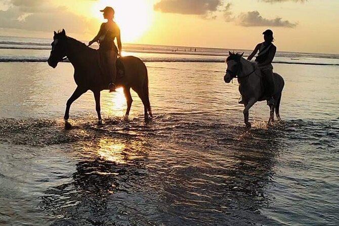 Private Bali Horse riding at saba beach - Should you book this private Bali horse riding at Saba Beach?