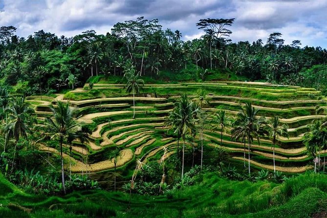 Private Bali swing, waterfall instagramable tour - Tegenungan Waterfall: swimming, photos, and the step factor