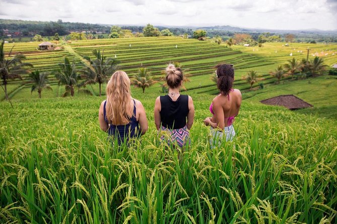 Private Bali Tour: The Most Scenic Places - Stop 2: Wanagiri Hidden Hills for swings, bird-nest angles, and lake views