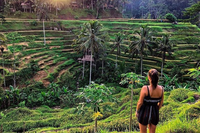 Private Bali Tour: Wonderful Ubud with Swing - Stop 3: The Terrace River Pool Swing and the coffee production stop