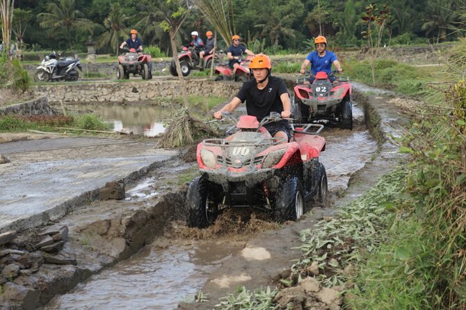 Private Balinese Cooking Class and Balinese house -All inclusive - Sacred Monkey Forest Sanctuary and the Included Swing Ticket
