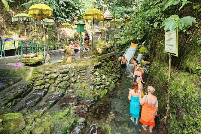 Private Balinese Purification in Holy Water at Temple with Local - Melukat purification in Sebatu, explained in plain terms
