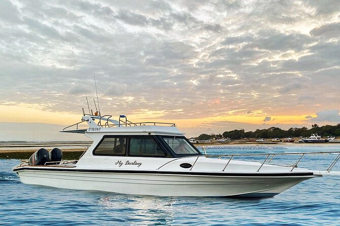 Private Boats in Bali and Nusa Penida - Who this trip is best for (and who should skip it)