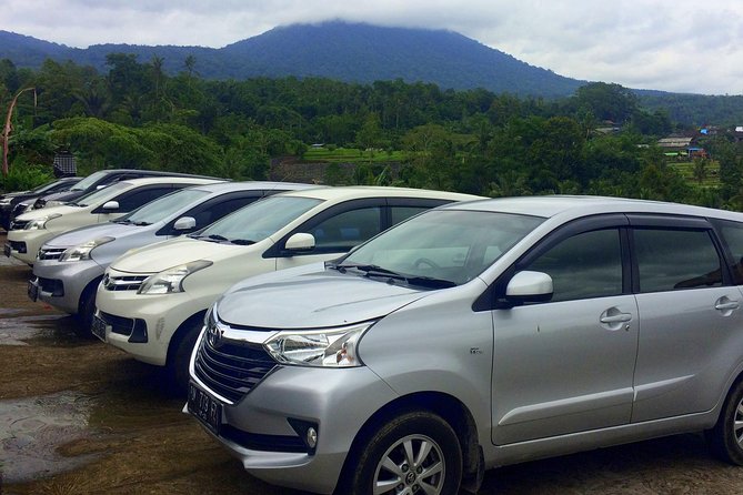 Private Car Charter - Explore Best of Bali - Traditional Balinese house compound in Batuan: architecture you can actually spot