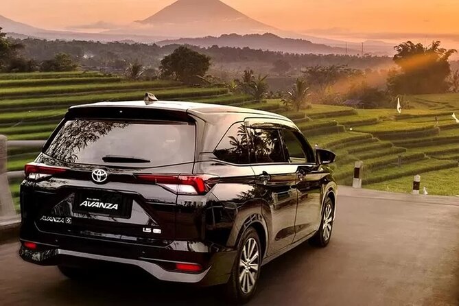 Private Car Charter Tour With Driver In Bali - Key things that make this charter worth a look