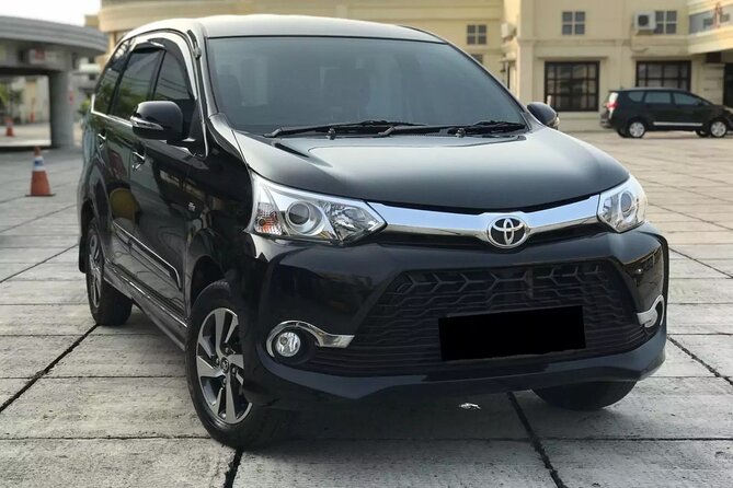 Private Car Charter Tour With Driver In Bali - Best fit: who should book this private Bali car day