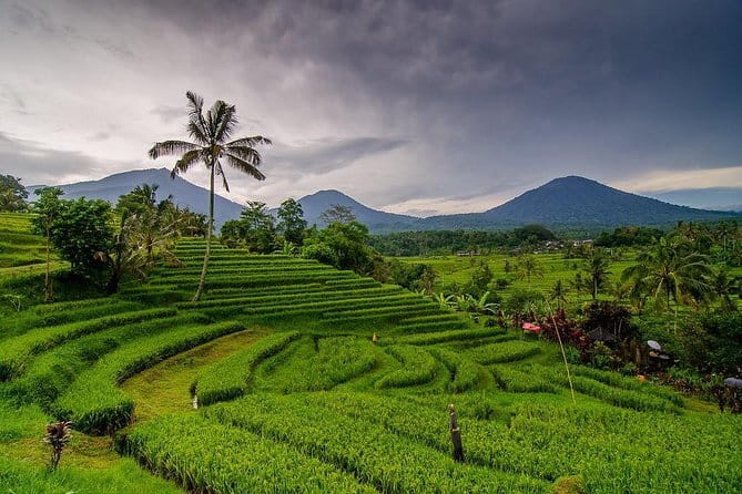 Private Chartered Car to Bali Temples With Besakih Temple - Puseh Batuan Temple: a smaller stop with real atmosphere