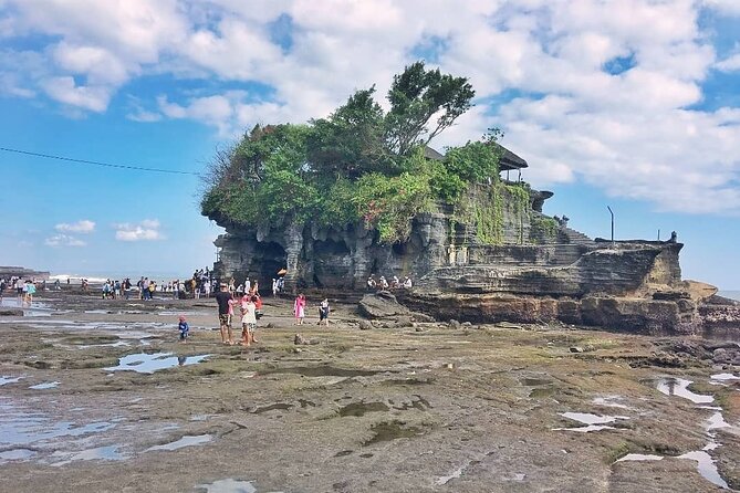 Private Custom Tour: 10-hour Best of Bali Tour - Temple and Water Ritual Stops: Tirta Empul, Elephant Cave, and Taman Ayun