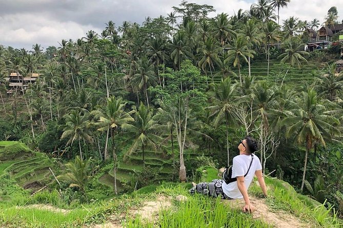 Private Custom Tour: 10-hour Tailor Made Tour of Bali - Building your day around Ubud: monkey forest, rice terraces, and jungle walks