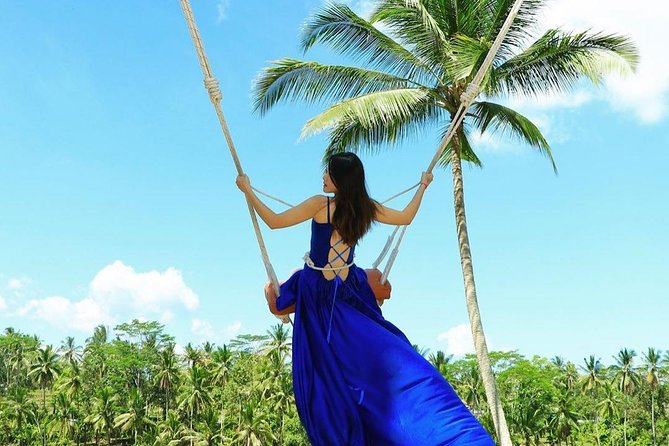 Private Custom Tour: 10-hour Tailor Made Tour of Bali - Waterfalls around Ubud: choose one, not five