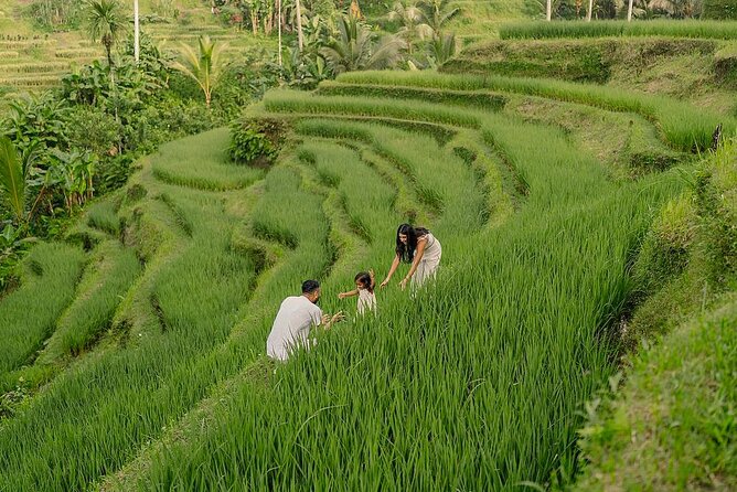 Private Customize Ubud Day Tour With Experienced Driver - Key highlights you can plan around