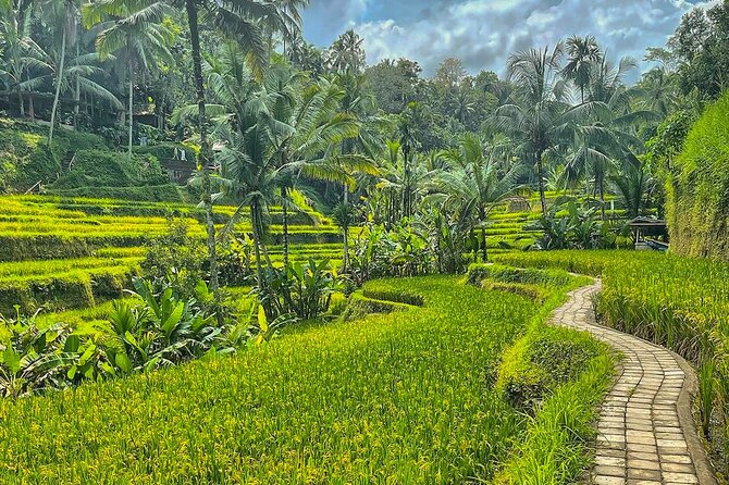 Private Customize Ubud Day Tour With Experienced Driver - How to customize your Ubud day without overloading it