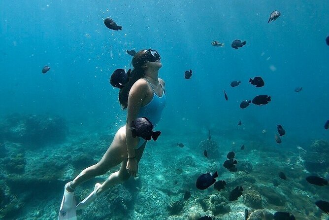 Private Customized Tour with Local Guide - Price and what you actually pay for on the ground