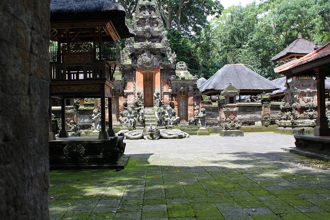 Private Customized Trip to Ubud - Tegenungan Waterfall: a 20-meter stop for swimming and photos