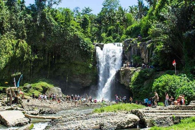 Private Day Tour: The Highlight of Ubud - Why this private Ubud day tour works so well