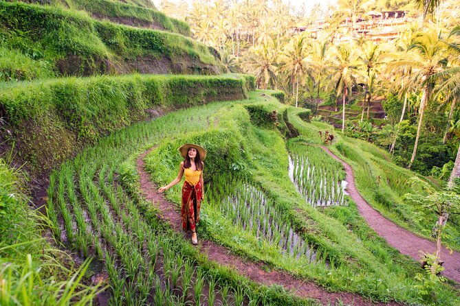 Private Day Tour: The Highlight of Ubud - Price and logistics, what $68 buys you