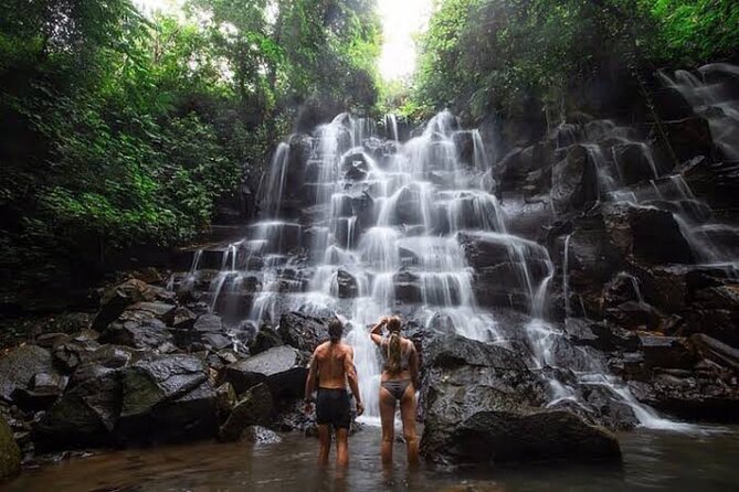 Private Day Tour To Waterfalls And Ubud Sightseeing - Key highlights to look for