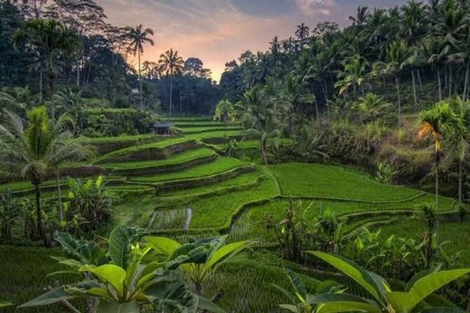 Private Day Tour To Waterfalls And Ubud Sightseeing - Tibumana Waterfall: A Quieter Pace After the First Waterfall