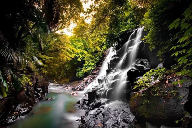 Private Day Tour To Waterfalls And Ubud Sightseeing - Tegalalang Rice Terrace: Views You Can Appreciate Without a Marathon