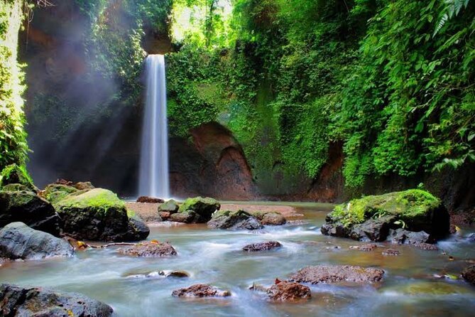 Private Day Tour To Waterfalls And Ubud Sightseeing - Lunch Break and Coffee and Tea Tasting Finish Strong