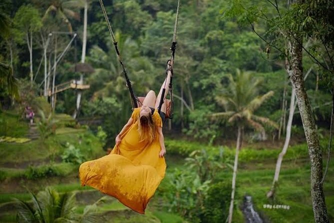 Private Day Tour To Waterfalls And Ubud Sightseeing - Price and Value: Why $42 Can Work for a Private Day
