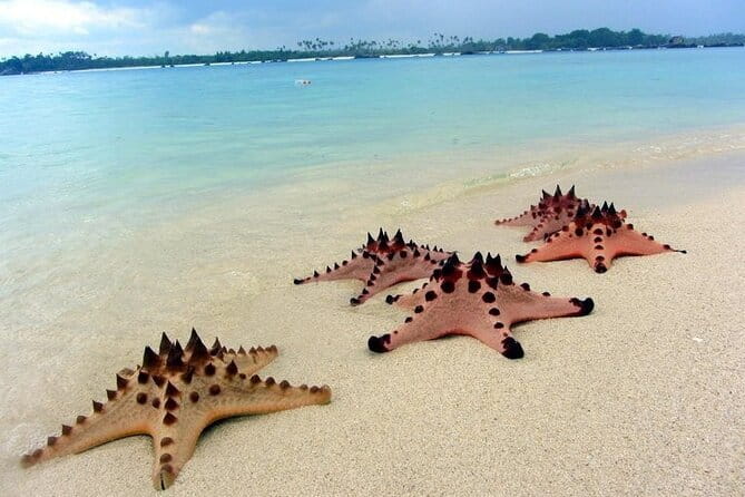 Private Day Trip Tour To Secret Gilis - Why This Private Secret Gili Route Feels Different