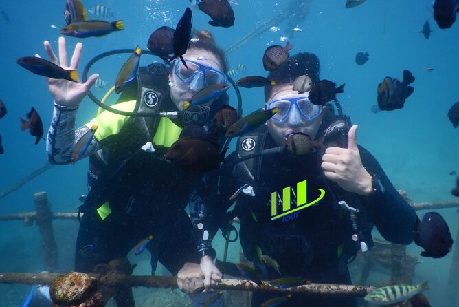 Private Diving Experience in Nusa Dua with Hotel Pick Up - Key things I’d bookmark before you go
