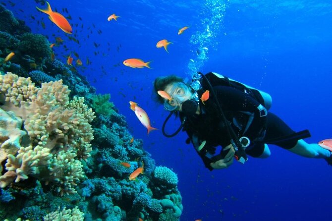 Private Diving Experience in Nusa Dua with Hotel Pick Up - Why Nusa Dua works well for a first scuba experience