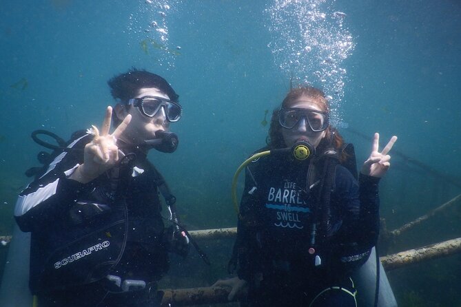 Private Diving Experience in Nusa Dua with Hotel Pick Up - The 2-hour plan: one session or two, with real breaks