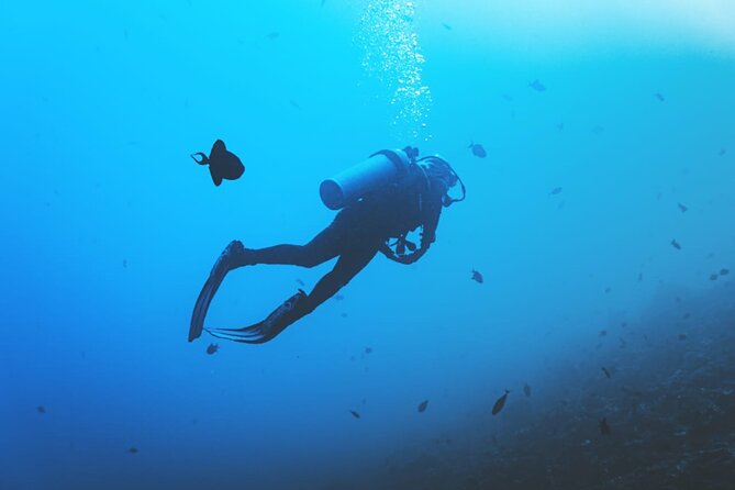 Private Diving Experience in Nusa Dua with Hotel Pick Up - Price reality check: is $59 per person fair value?