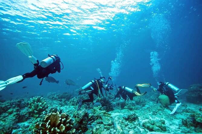 Private Diving Experience in Nusa Dua with Hotel Pick Up - Private setup plus hotel pickup in Nusa Dua and Jimbaran