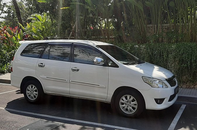 Private Driver in Bali with English Speaking - Tirta Empul Temple: holy spring purification and why it matters