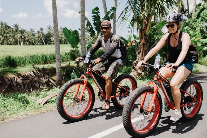 Private Fat Tire E-Bike Tour in Ubud - Ubud by E-Bike: Why Fat Tires Make a Difference