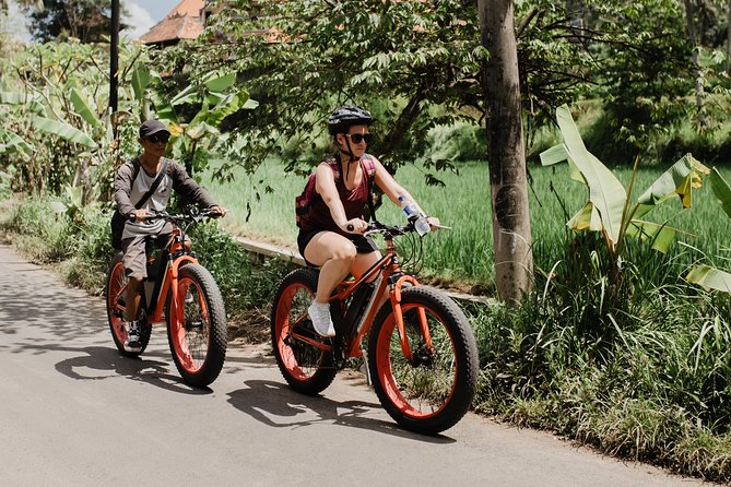 Private Fat Tire E-Bike Tour in Ubud - Tegalalang Rice Terrace: A Quick Look That Doesn’t Eat Your Day