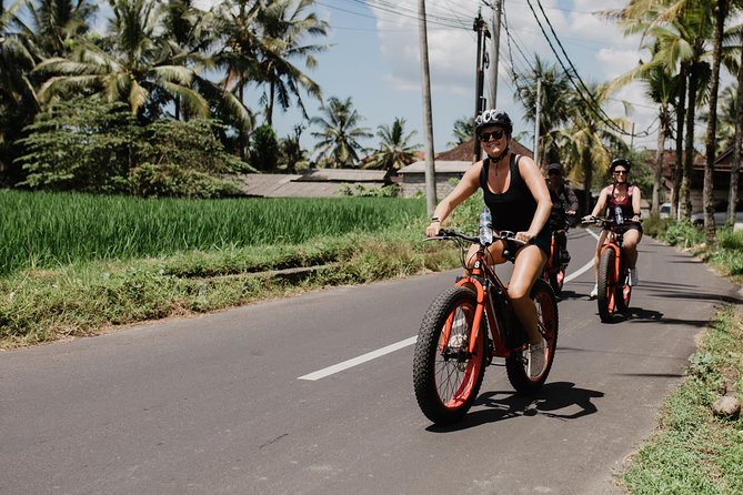 Private Fat Tire E-Bike Tour in Ubud - Campuhan Ridge and Rice-Field Roads: What You Can Expect From the Route