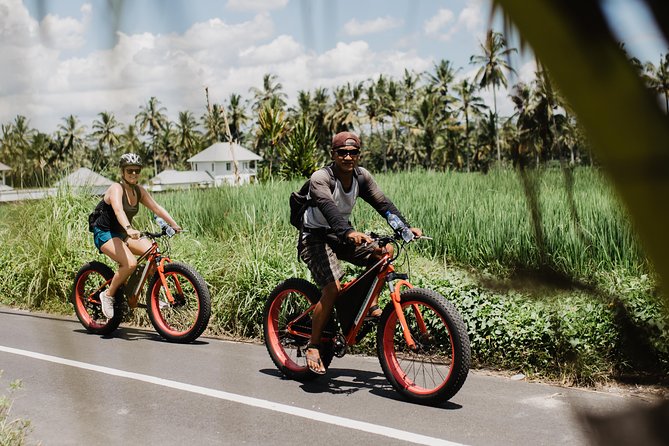 Private Fat Tire E-Bike Tour in Ubud - Snacks, Bottled Water, and a Meal: Why the Fuel Matters