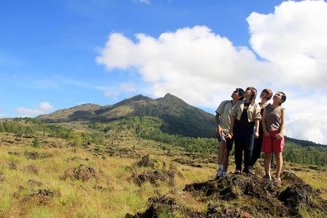 Private Full-Day Bali Sightseeing Tour with Pickup and Lunch - Price and Value for a 10 to 12 Hour Private Day