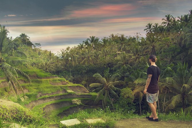Private Full-Day Bali Tour - Vehicle size and group comfort (7-seater MPV)