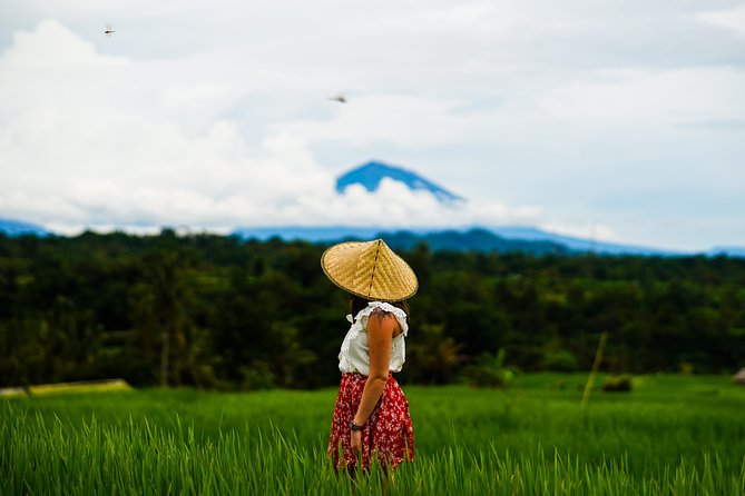 Private Full-Day Bali Tour - Choosing your landmark mix: temples, photos, and water