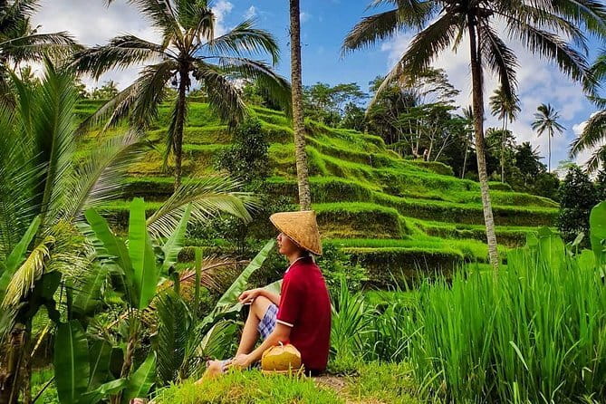 Private Full - Day Nusa Penida Island Tour - Kelingking Beach: the iconic viewpoint stop