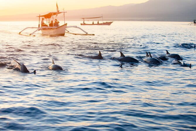 Private Full - Day Nusa Penida Island Tour - Tour flexibility: private doesn’t always mean pick-your-own