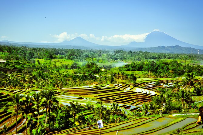 Private Full-Day Tour: Discover The Best of Bali Destination - Jatiluwih Green Land Rice Terraces and the “See It to Believe It” Hour