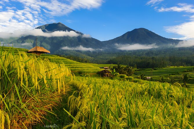 Private Full-Day Tour: Discover The Best of Bali Destination - Handara Iconic Gate: Best Used as a Camera Break