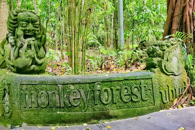 Private Full-Day Tour in Bali & FREE WIFI - Onboard Wi-Fi: useful for planning, not a guarantee