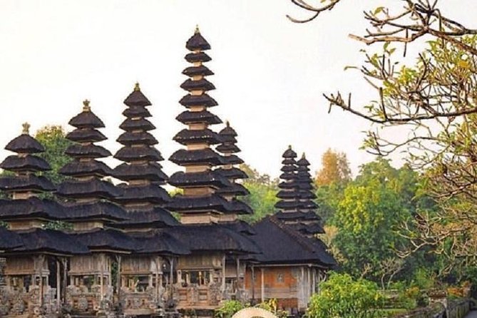 Private Full-Day Tour Jatiluwih Rice Terrace and Tanah Lot Temple - Your driver: why the name on your van matters