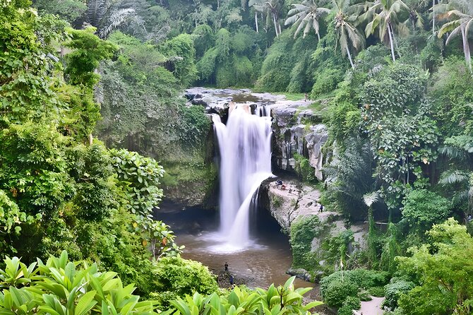 Private Half-Day Tour: The Best Ubud Half Day Trip Packages - Tegenungan Waterfall: popular, photogenic, and best with sensible timing