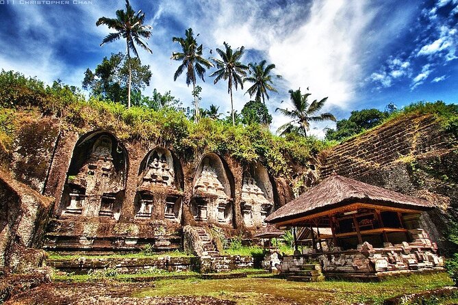 Private Inclusive Tour: The Best Of Ubud With Jungle Swing - Stop 5: d’Alas Jungle Swing for the big “soar” photo