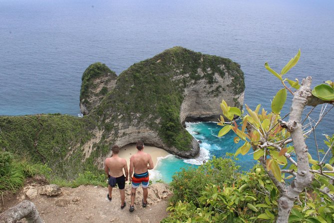 Private Instagramable West Nusa Penida Tour - Price and value: what $85 is buying you